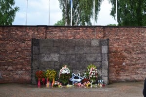 Holocaust online