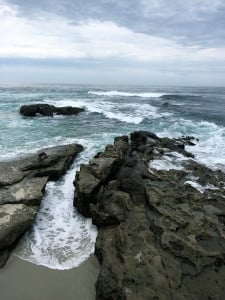 IMG_0669_2