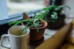 IMG_4553